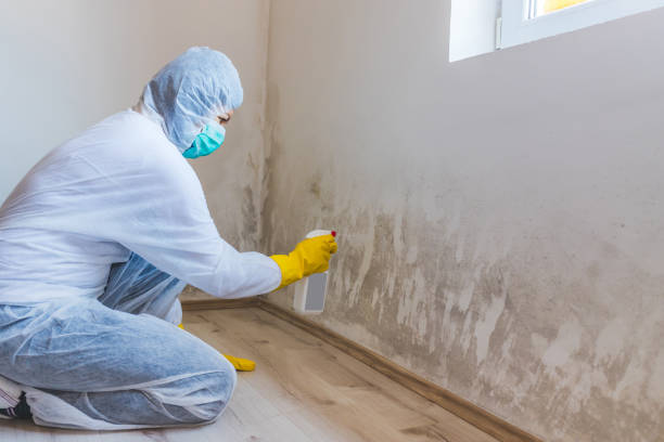 Mold inspector in Hilltown performing thermal imaging